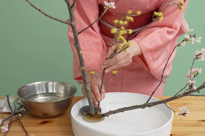 Japan's Customs of Ikebana Art, Tea Ceremony & Kimono Welcome — photo 5