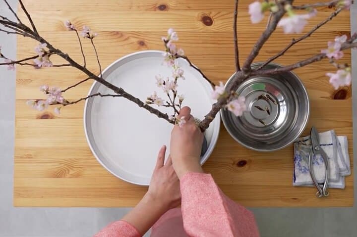 Japan's Customs of Ikebana Art, Tea Ceremony & Kimono Welcome — photo 9