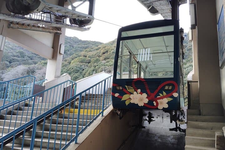 Kintai Kyo Bridge and Iwakuni Castle with Local Guide — photo 13