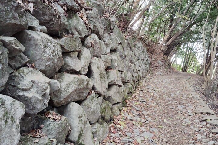 Kintai Kyo Bridge and Iwakuni Castle with Local Guide — photo 5
