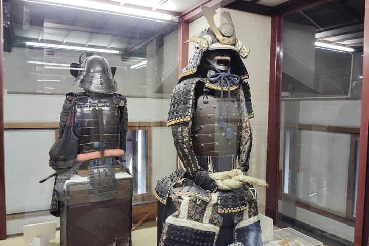 Kintai Kyo Bridge and Iwakuni Castle with Local Guide — photo 3