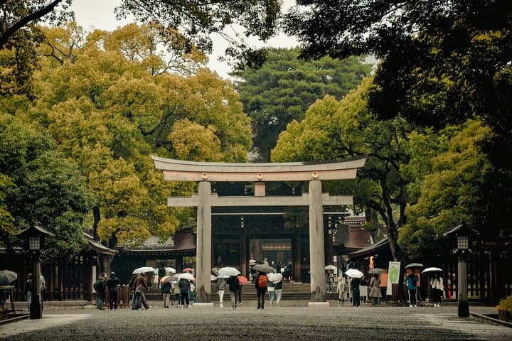 Capture Tokyo: A Guided Photography Tour — photo 4