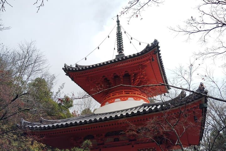 Mitaki Temple Guided Tour in Hiroshima — photo 13
