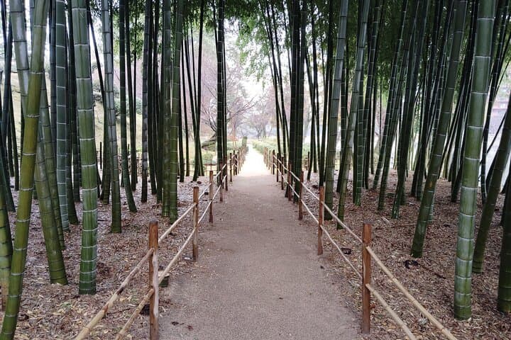 Hiroshima: Discover Hidden Meanings of Shukkeien Garden — photo 5