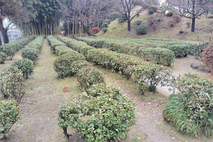 Hiroshima: Discover Hidden Meanings of Shukkeien Garden — photo 13