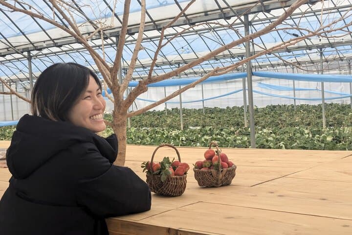 Private tour Meet the Sheep of Aso and pick Aso strawberries — photo 12
