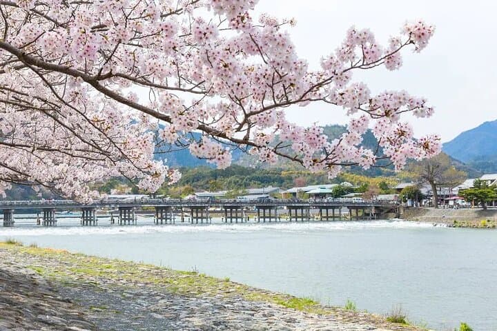Kyoto Exclusive Private Tour with Vehicle & Professional Guide — photo 3