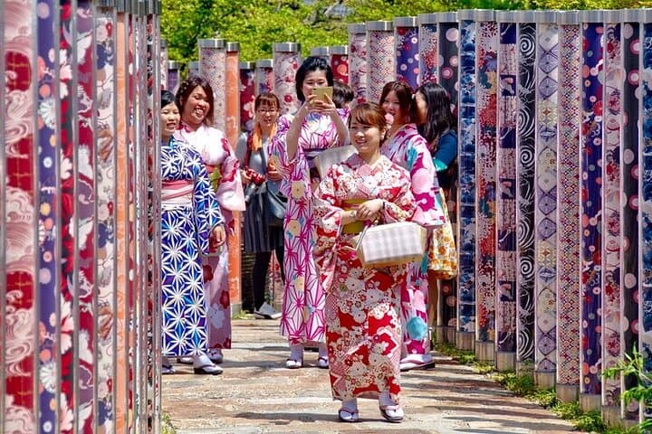 Kyoto Exclusive Private Tour with Vehicle & Professional Guide — photo 8