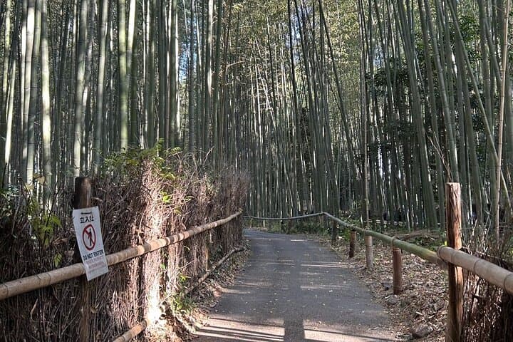 Kyoto Popular Tour : Learn Japanese philosophy from Kyoto — photo 4