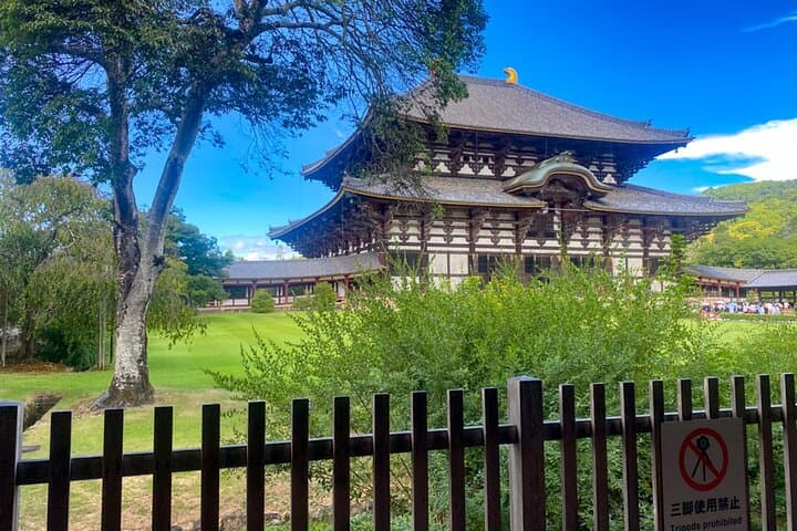 Discover Himeji, Kobe and Nara from Osaka — photo 6
