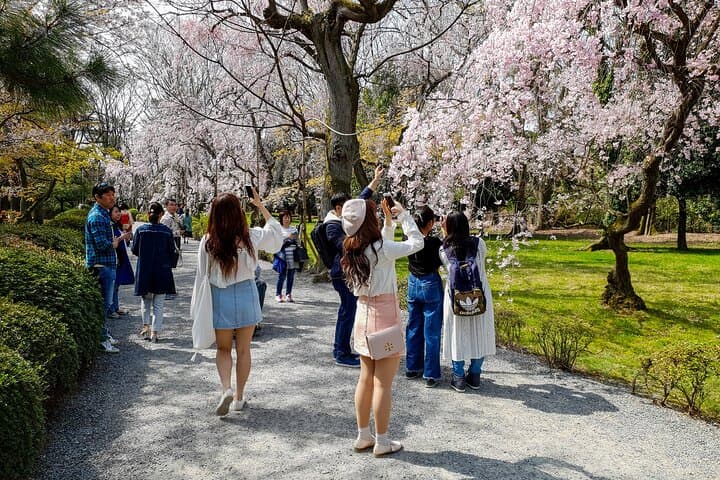 Kyoto Full-Day Bus Tour: Nijo, Arashiyama & Fushimi Inari (EN/ES) — photo 7