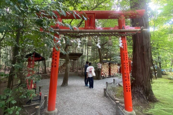 Kyoto Full-Day Bus Tour: Nijo, Arashiyama & Fushimi Inari (EN/ES) — photo 11