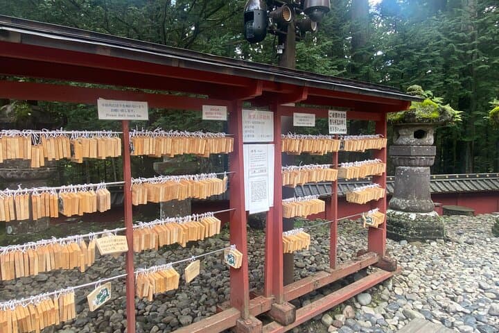 Nikko, Kegon Waterfall & Chuzenji Lake from Tokyo — photo 8