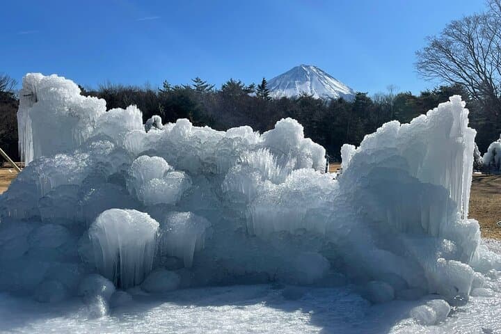 Customisable Mt.Fuji Private Day Trip, English Speaking Driver — photo 12