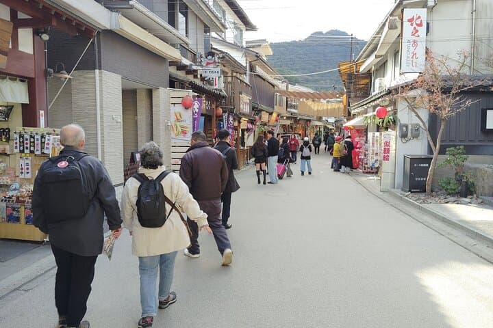 Hiroshima Highlights Guided Tour in 5.5 hours — photo 16