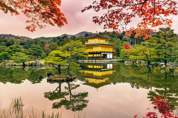Kyoto & Uji: Full Day Sightseeing Tour from Osaka or Kyoto — photo 3
