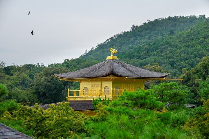 Kyoto & Uji: Full Day Sightseeing Tour from Osaka or Kyoto — photo 5