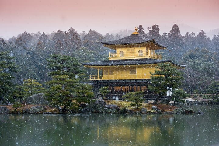 Kyoto & Uji: Full Day Sightseeing Tour from Osaka or Kyoto — photo 8