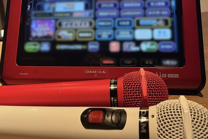 Tokyo Private Karaoke Lesson in Shinjuku — photo 4