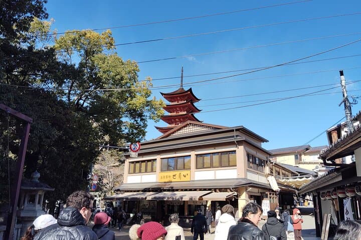 Hiroshima Highlights Guided Tour in 5.5 hours — photo 20
