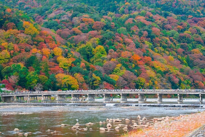 Kyoto Full Day Sightseeing Tour from Osaka or Kyoto — photo 18