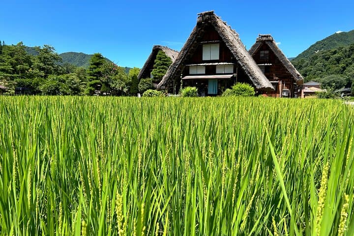 Private Tour of Shirakawago and Gokayama from Kanazawa — photo 8