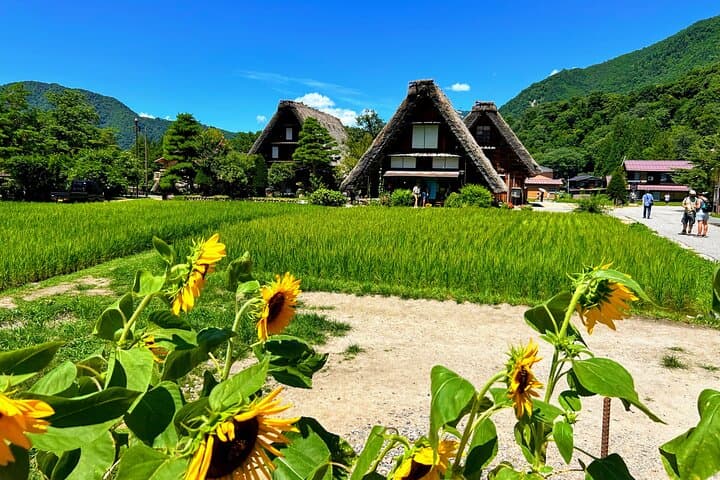 Private Transfer from Takayama to Kanazawa Including Shirakawago — photo 3