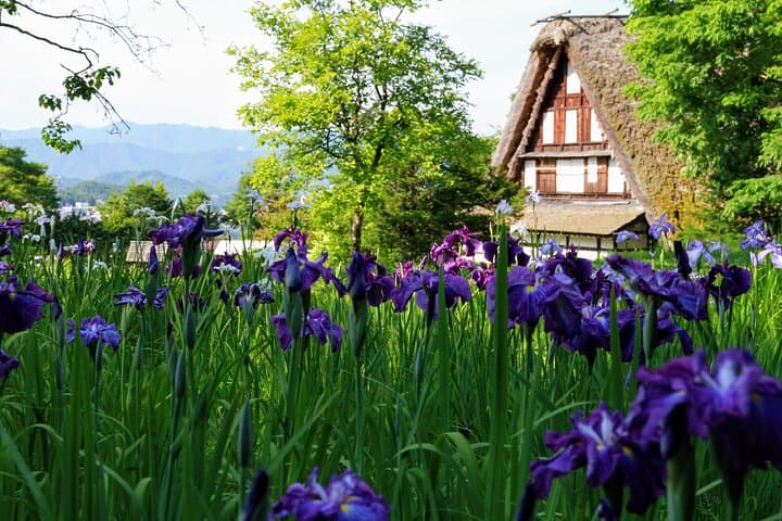 Private Tour Kanazawa, Shirakawago, Hida Furukawa,Takayama — photo 18