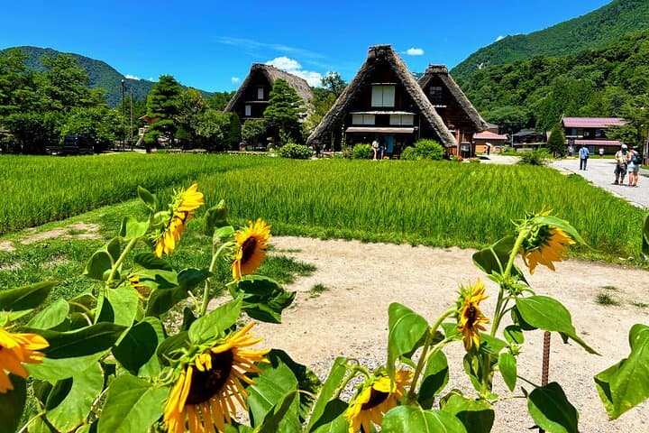 Private transfer Kanazawa to Takayama Including Shirakawago — photo 3