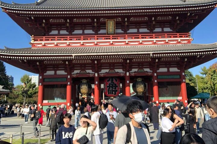 Tokyo Cherry Blossom Half Day Walking Tour with a Local Guide — photo 5