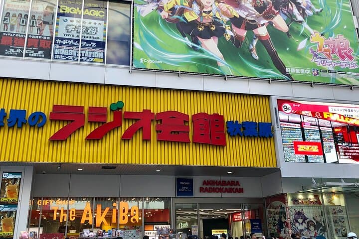 Akihabara Private Walking Tour – Anime, Games & Otaku Culture — photo 1