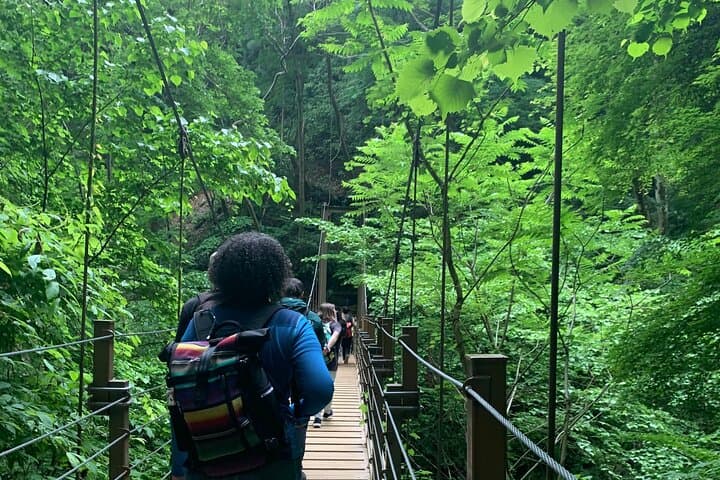 Full Day Hiking Tour at Mt.Takao including Hot Spring — photo 1