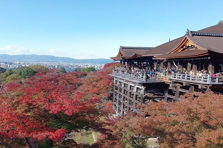 6 Hours Private Tour a Kyoto's Highlights — photo 4