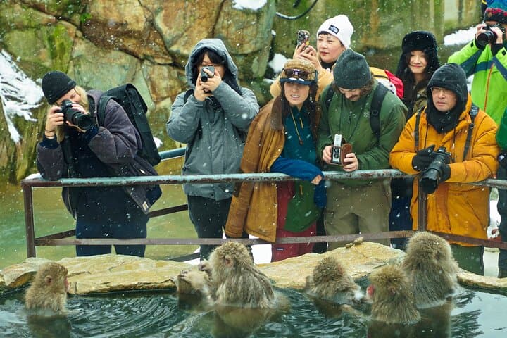 Snow Monkeys, Hokusai & Sake: A Perfect Day in Nagano — photo 9