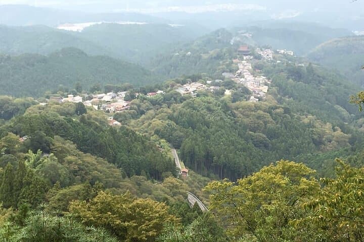 Full-Day Private Guided Tour to Yoshino, Japanese Mountain — photo 3