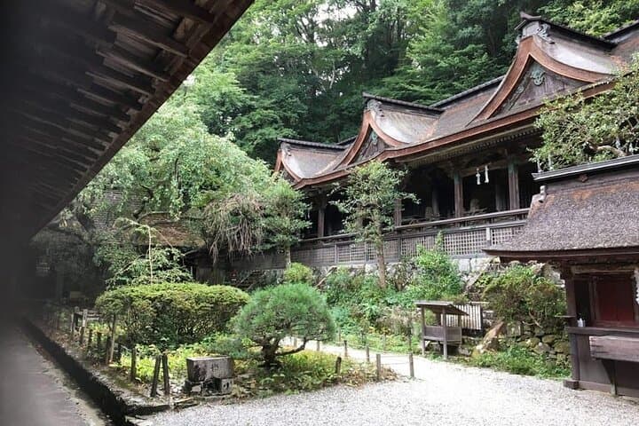 Full-Day Private Guided Tour to Yoshino, Japanese Mountain — photo 6