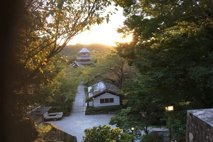 Full-Day Private Guided Tour to Yoshino, Japanese Mountain — photo 11