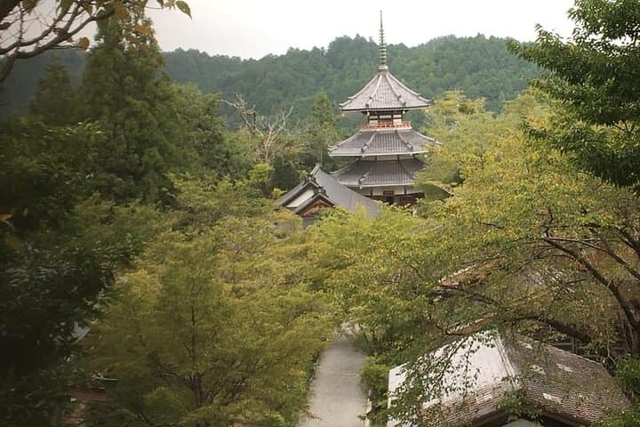 Full-Day Private Guided Tour to Yoshino, Japanese Mountain — photo 12