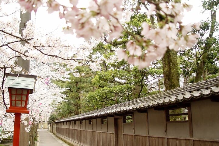 Kinosaki Onsen Check-In Tour with Hot Spring Passport — photo 12
