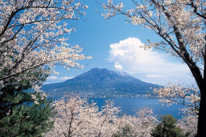 Full-Day Gastronomic Kagoshima Adventure by Private Vehicle — photo 18