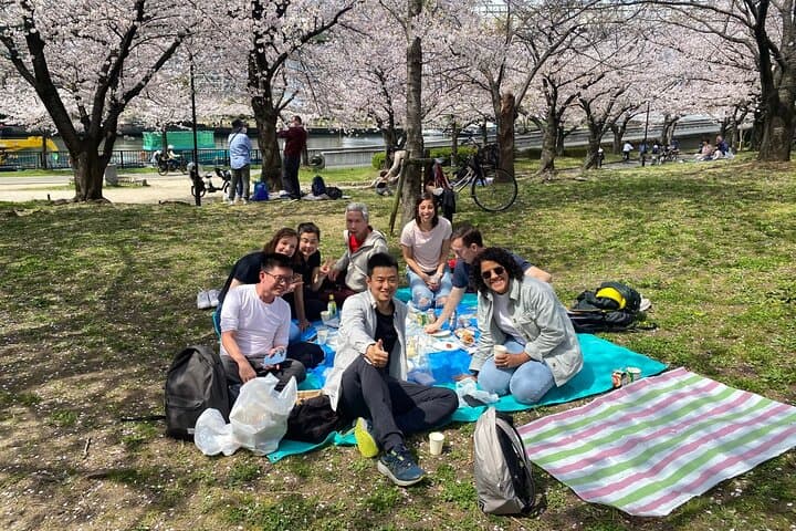 Sakura Picnic "Hanami" in Osaka - Spring Only — photo 4