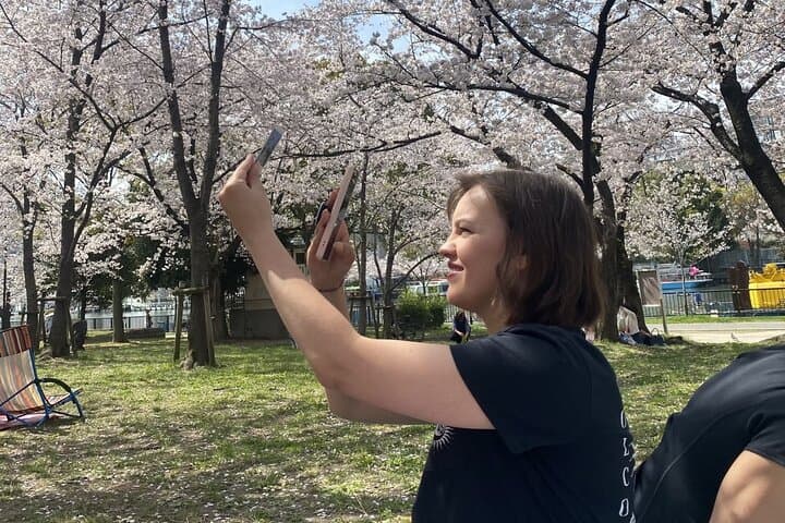 Sakura Picnic "Hanami" in Osaka - Spring Only — photo 3