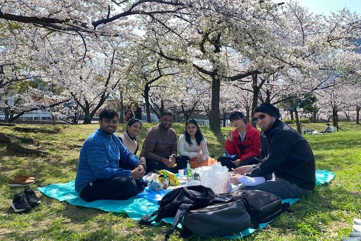 Sakura Picnic "Hanami" in Osaka - Spring Only — photo 5