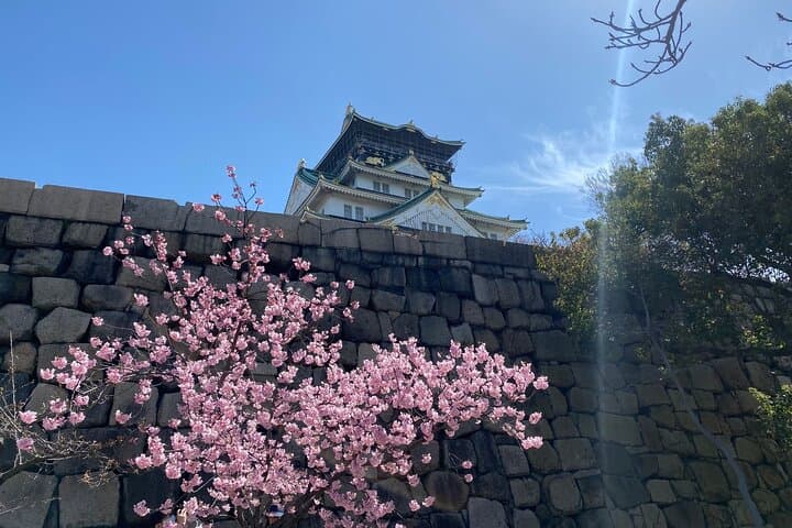 Sakura Picnic "Hanami" in Osaka - Spring Only — photo 11