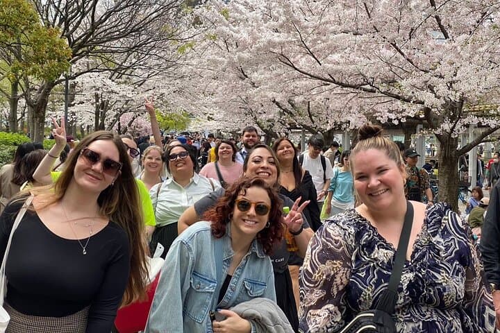Sakura Picnic "Hanami" in Osaka - Spring Only — photo 2