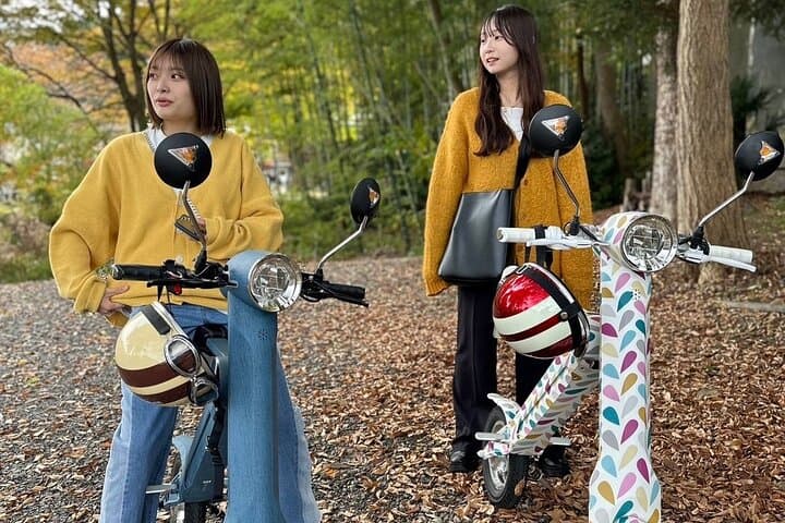 Yahiko Petit E-Motorcycle Tour: Flexible Courses to Enjoy Yahiko — photo 4