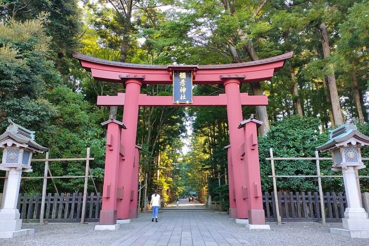 Yahiko Petit E-Motorcycle Tour: Flexible Courses to Enjoy Yahiko — photo 7