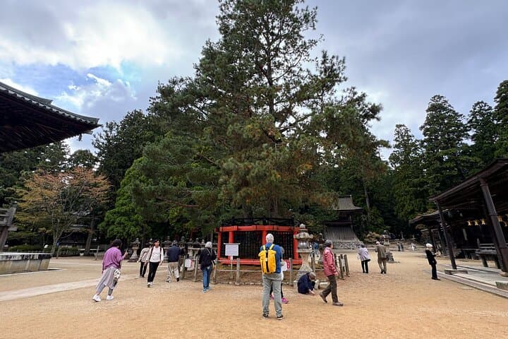 Private Koyasan Day Tour from Osaka – Kii Peninsula UNESCO Site — photo 13