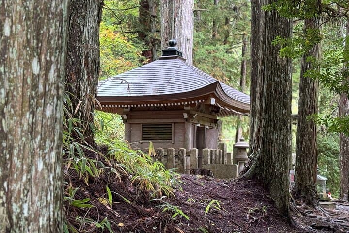 Private Koyasan Day Tour from Osaka – Kii Peninsula UNESCO Site — photo 18