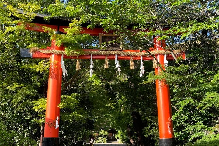 Matcha Grinding Experience and Walking Tour in Uji Kyoto — photo 10